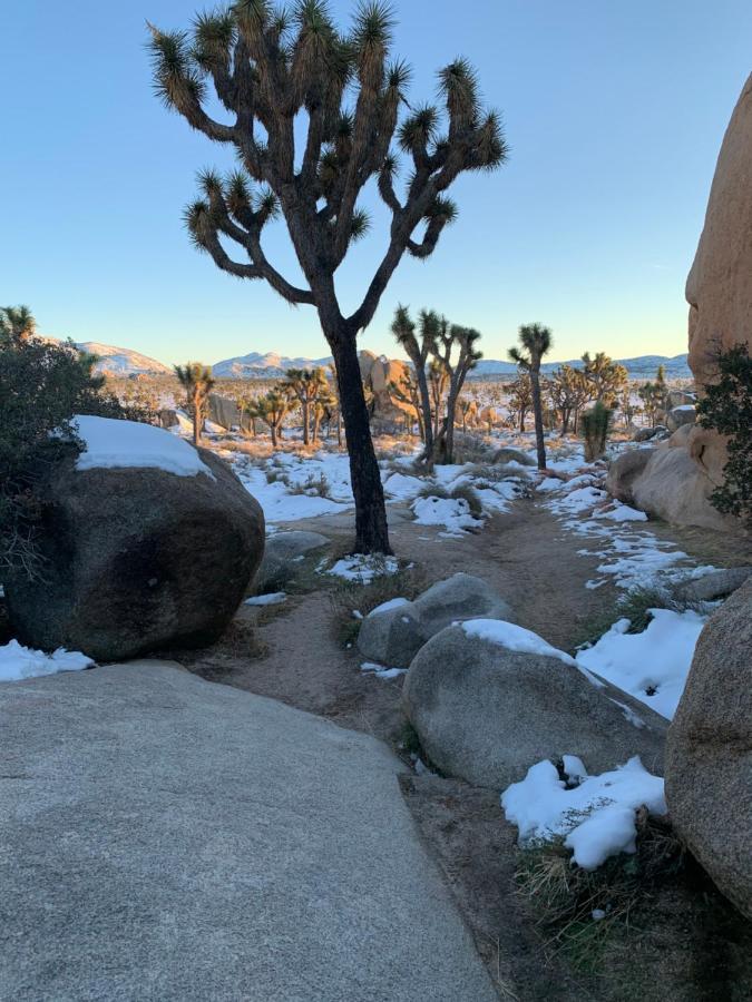 Popular Homestead! Location, Stargaze, Views! Joshua Tree Luaran gambar