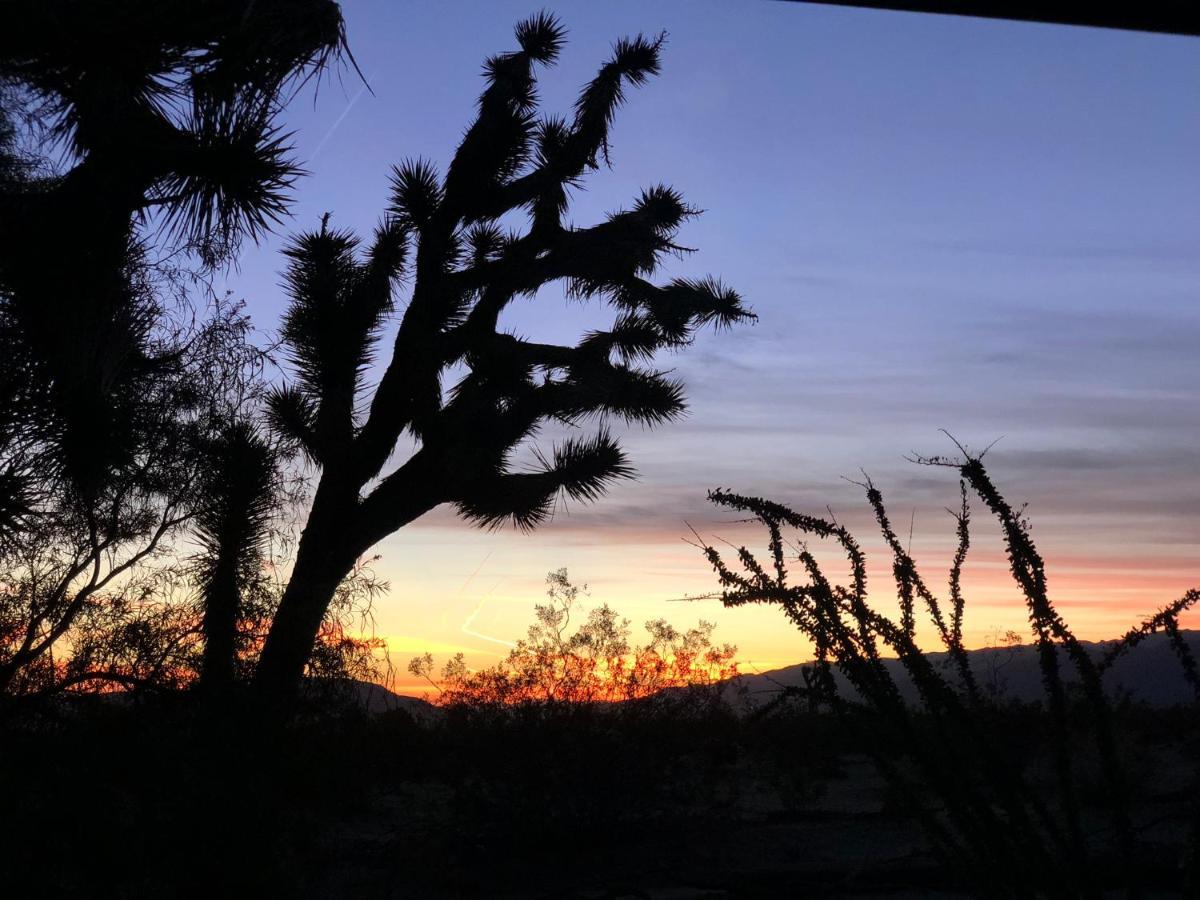 Popular Homestead! Location, Stargaze, Views! Joshua Tree Luaran gambar
