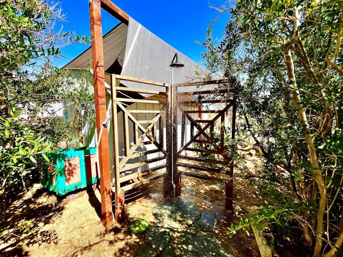Popular Homestead! Location, Stargaze, Views! Joshua Tree Luaran gambar
