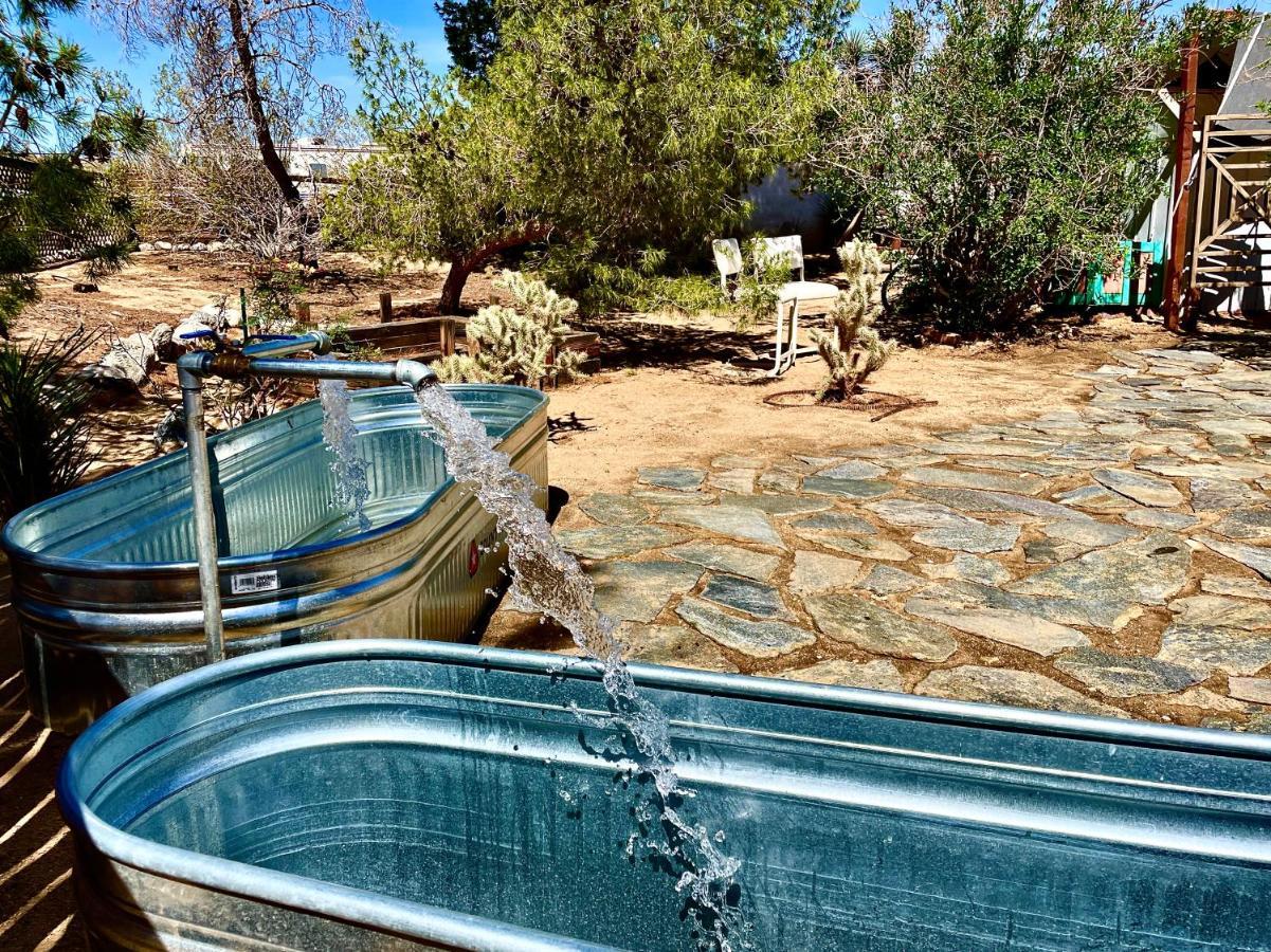 Popular Homestead! Location, Stargaze, Views! Joshua Tree Luaran gambar