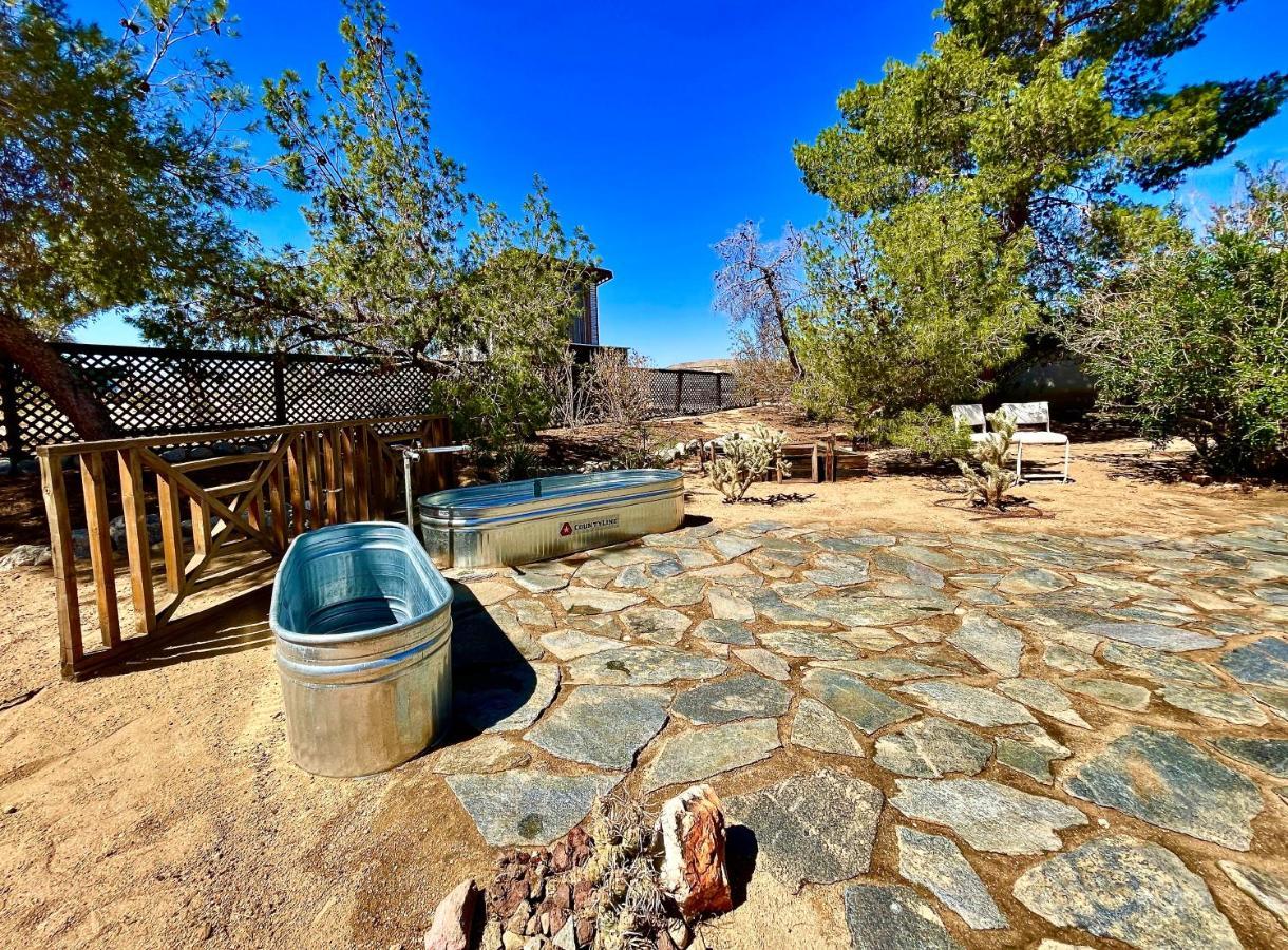 Popular Homestead! Location, Stargaze, Views! Joshua Tree Luaran gambar