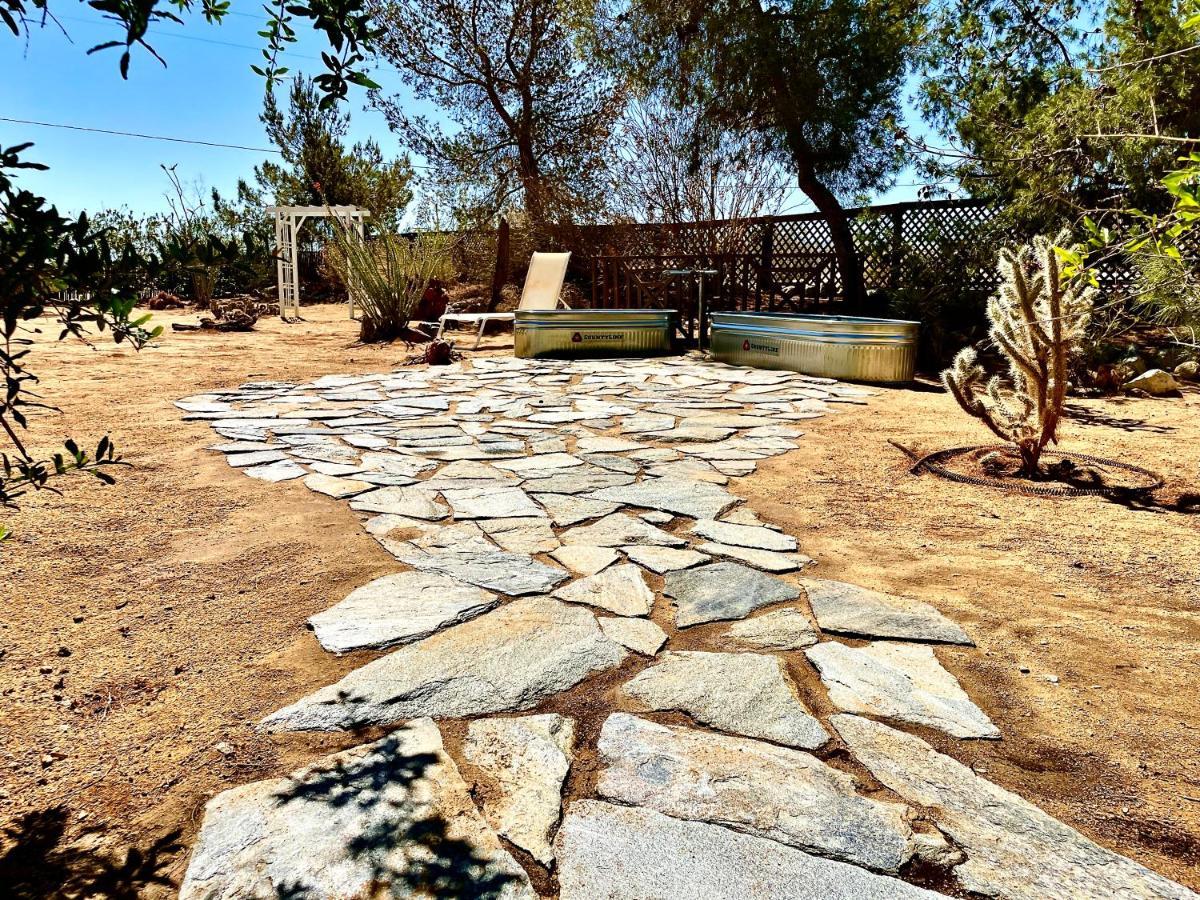 Popular Homestead! Location, Stargaze, Views! Joshua Tree Luaran gambar