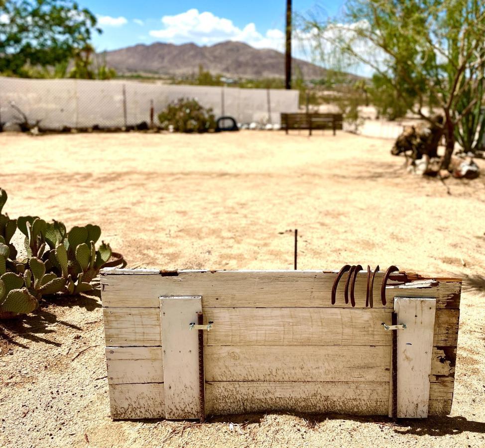 Popular Homestead! Location, Stargaze, Views! Joshua Tree Luaran gambar